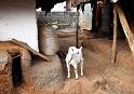 Pottery Village_Thrissur_02